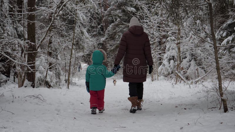 Moeder en kind lopen door het winterpark in bos met sneeuwhanden