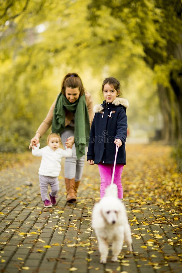 Moeder en twee meisjes die met een hond in het de herfstpark lopen royalty-vrije stock foto Moeder en twee meisjes die met een hond in het de herfstpark lopen royalty-vrije stock foto