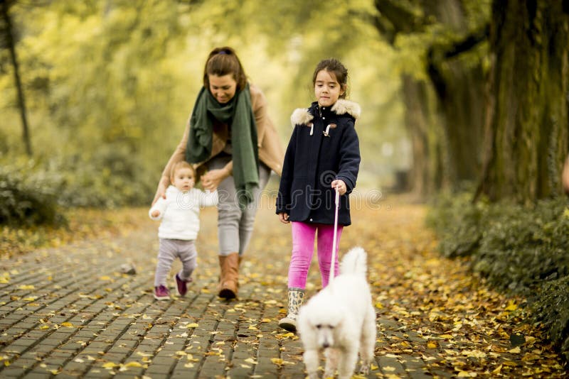 Moeder en twee meisjes die met hond in het de herfstpark lopen royalty-vrije stock foto's Moeder en twee meisjes die met hond in het de herfstpark lopen royalty-vrije stock foto's