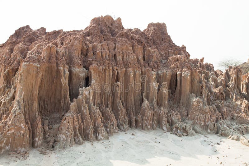 Moerassen als landschap stock foto's