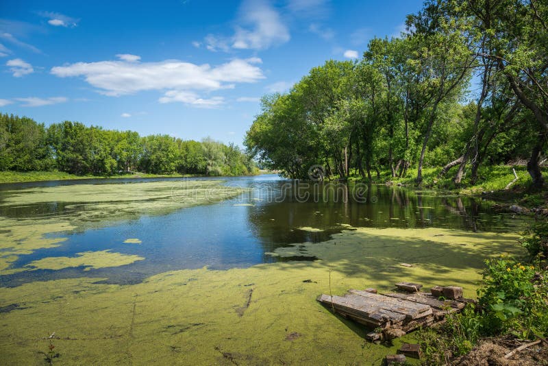 Moerassig meer royalty-vrije stock foto