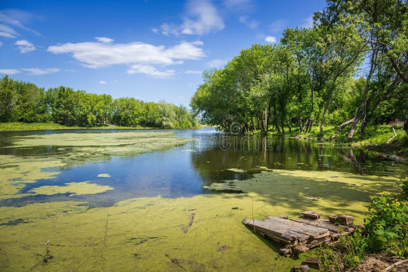 Moerassig meer stock fotografie