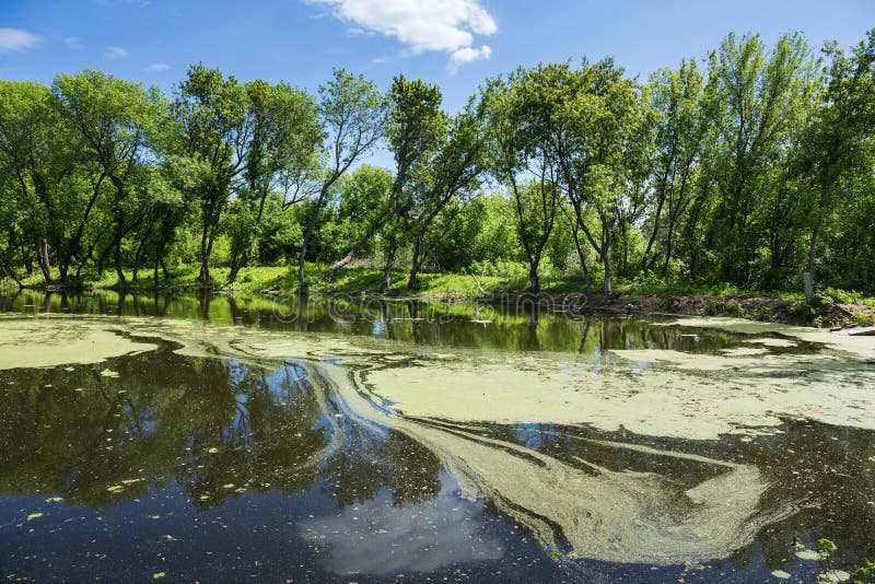 Moerassig meer stock afbeelding