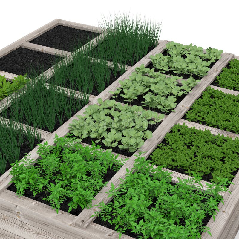 Moestuin met assortimentsgroenten en koude container op wit 3D Illustratie stock illustratie Moestuin met assortimentsgroenten en koude container op wit 3D Illustratie stock illustratie