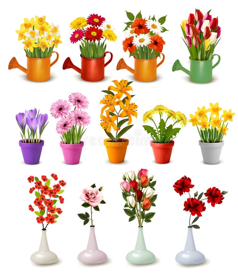 Mega collection of spring and summer colorful flowers in pots,  watering cans and vases. Vector. Mega collection of spring and summer colorful flowers in pots,  watering cans and vases. Vector