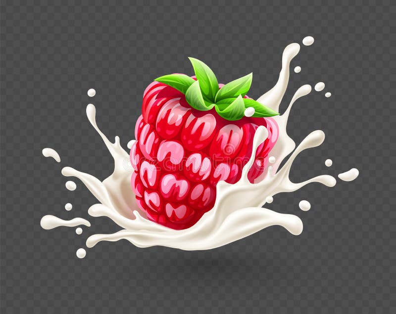 Mogen frukt för rött hallon som tappar in i yoghurtfärgstänk ocks? vektor f?r coreldrawillustration stock illustrationer Mogen frukt för rött hallon som tappar in i yoghurtfärgstänk ocks? vektor f?r coreldrawillustration stock illustrationer