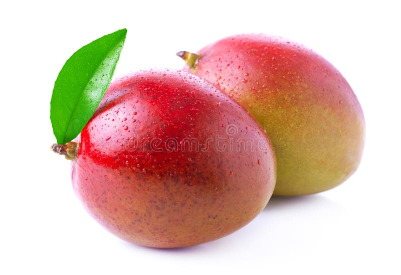 Mogen mango som isoleras på vit arkivfoton Mogen mango som isoleras på vit arkivfoton