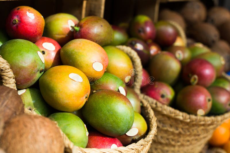 Mogen saftig mango i vide- korgar på marknadsräknare royaltyfri bild Mogen saftig mango i vide- korgar på marknadsräknare royaltyfri bild