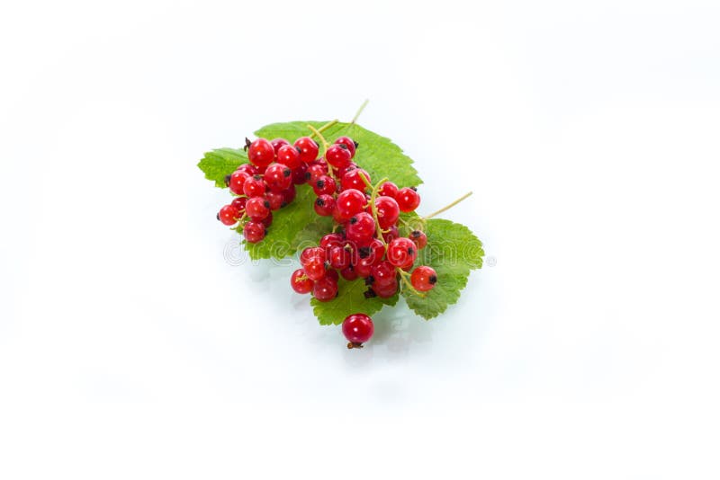 Mogen sommarbär röd vinbär isolerad på vitt arkivfoto