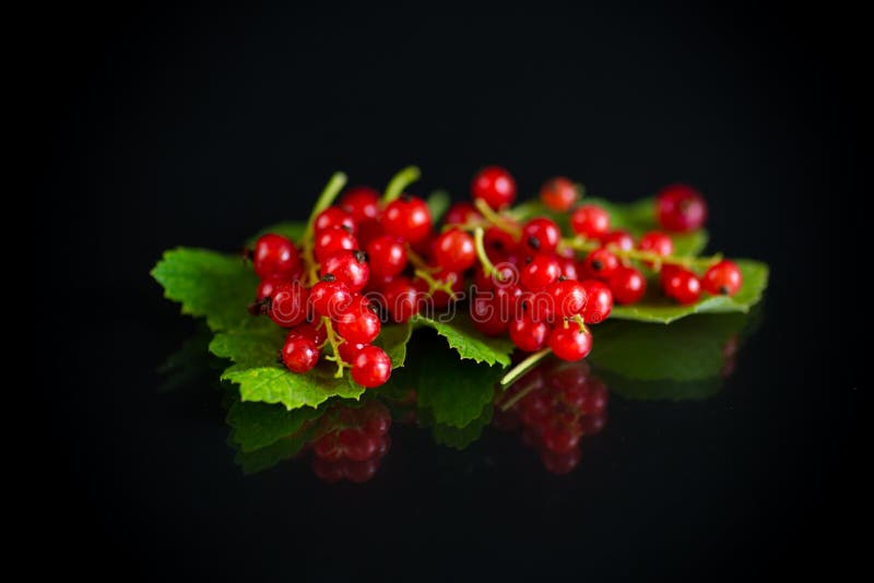 Mogen sommarbärodcurry på svart fläsk royaltyfri fotografi