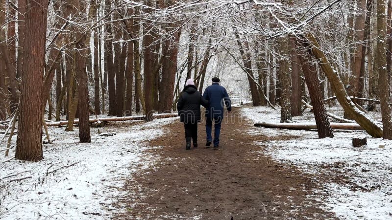 Moget par som går på snöstig vid vintertallskog. Högre make och maka som går genom spåret på barrträd arkivbild
