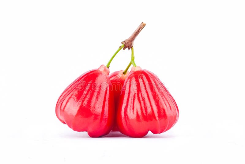 Moget rött rosäpple på för äpplefrukt för vit bakgrund isolerad sund rosa mat arkivfoton Moget rött rosäpple på för äpplefrukt för vit bakgrund isolerad sund rosa mat arkivfoton