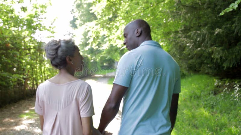 Mogna afrikansk amerikanpar som går i bygd lager videofilmer