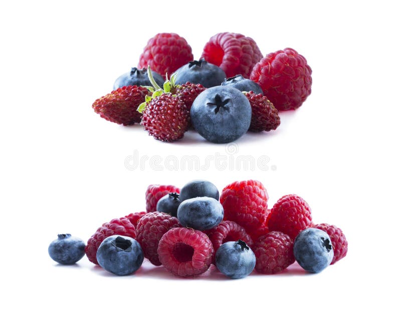 Ripe berries isolated on white background. Blueberries, wild strawberries and raspberries. Mix berries and fruits with copy space for text. Mix berries on white background. Pink and blue food. Ripe berries isolated on white background. Blueberries, wild strawberries and raspberries. Mix berries and fruits with copy space for text. Mix berries on white background. Pink and blue food