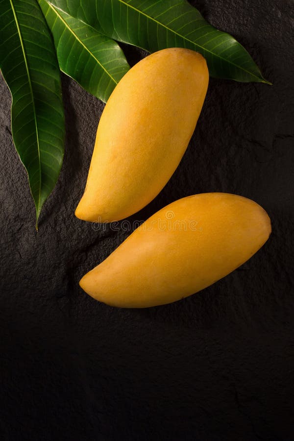 Mogna guld- mango med bladet på mörk bakgrund fotografering för bildbyråer Mogna guld- mango med bladet på mörk bakgrund fotografering för bildbyråer