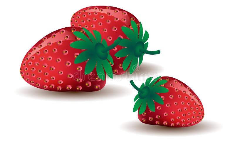 Mogna jordgubbar tre royaltyfri illustrationer