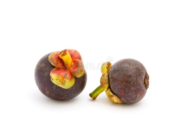 mogna mangosteens arkivbilder mogna mangosteens arkivbilder