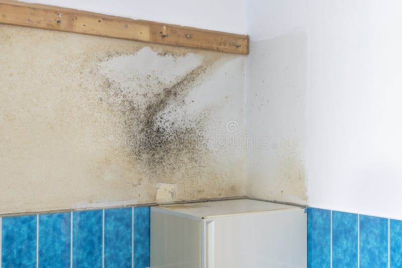 Moho mohoso en una pared del cuarto de baño fotos de archivo libres de regalías Moho mohoso en una pared del cuarto de baño fotos de archivo libres de regalías