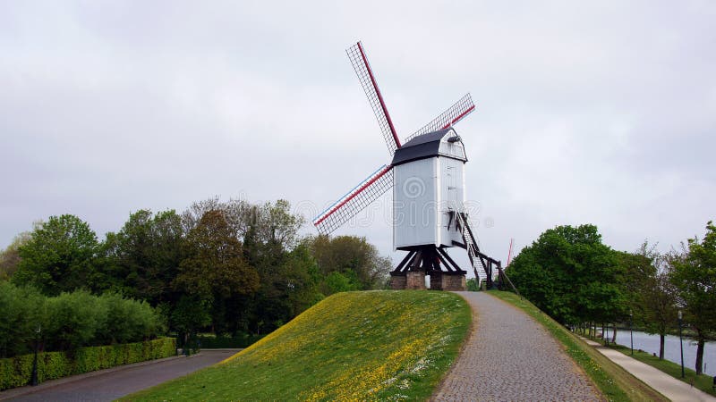 Moinho De Vento Histórico Na Pequena Colina Na Natureza Em Brugge