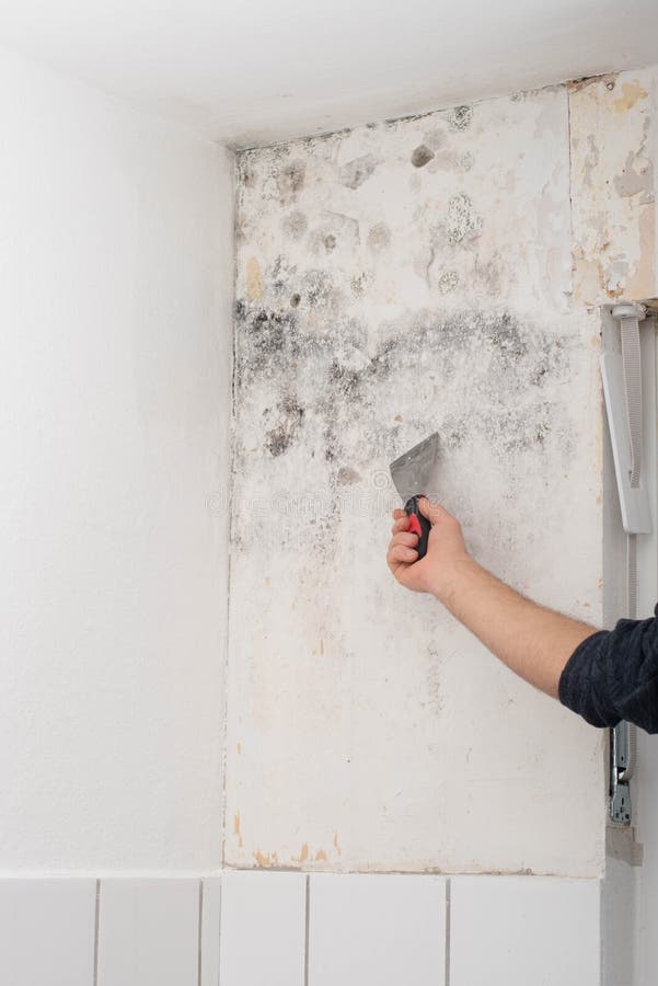 Moisissure à Partir De Condensation Sur Le Coin Des Murs Dans La