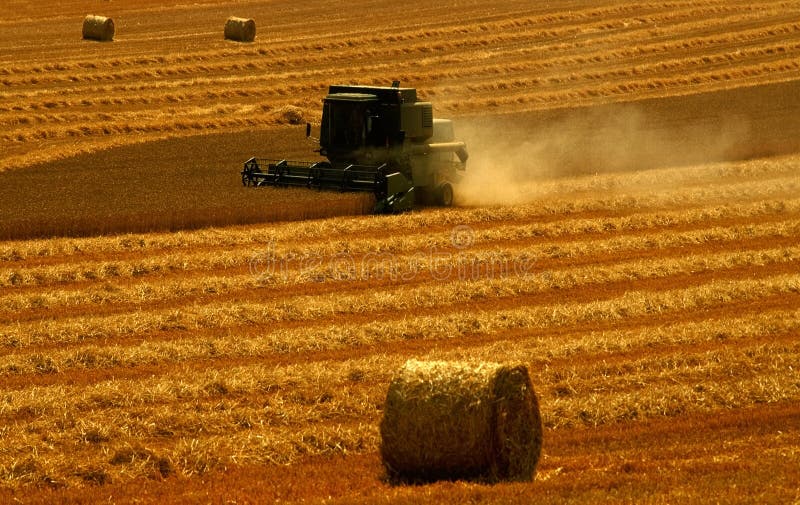 Harvesting. combined harvester. cornfield. meuse valley. lorraine. france. Harvesting. combined harvester. cornfield. meuse valley. lorraine. france.