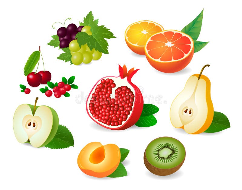 Moitiés réalistes de fruit illustration libre de droits Moitiés réalistes de fruit illustration libre de droits