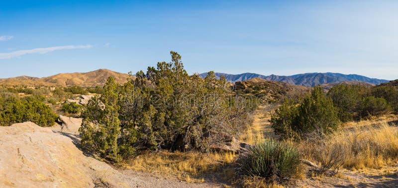 Resonate Sælger knoglebrud Mojave Desert Nature Preserve Stock Photo - Image of wilderness, heat:  76245258