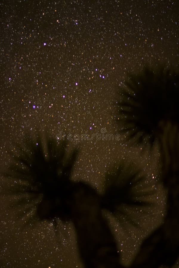 Mojave night sky stock photo. Image of time, park, night 29543570