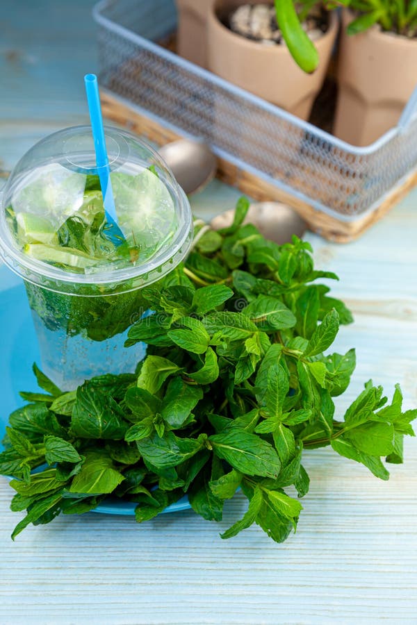 Mojito and Lemonade summer cold drink in a plastic glass with a straw.  Coctail with mint, lemon, lime and ice. Serve at the bar. Beverage closeup  Stock Photo - Alamy