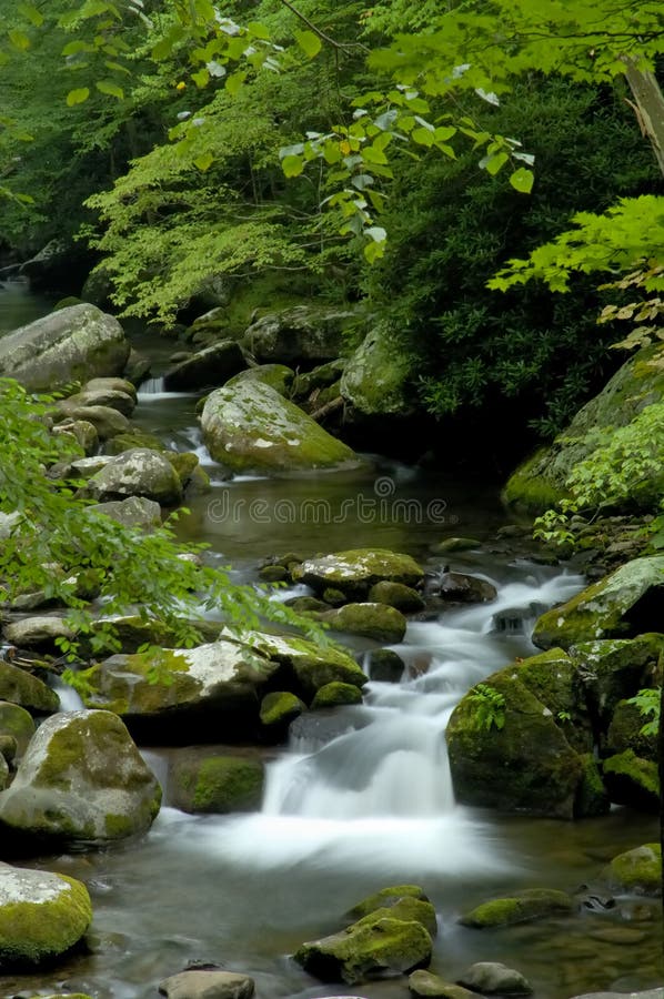 Mola em Tremont no parque nacional de Great Smoky Mountains, TN EUA imagem de stock Mola em Tremont no parque nacional de Great Smoky Mountains, TN EUA imagem de stock