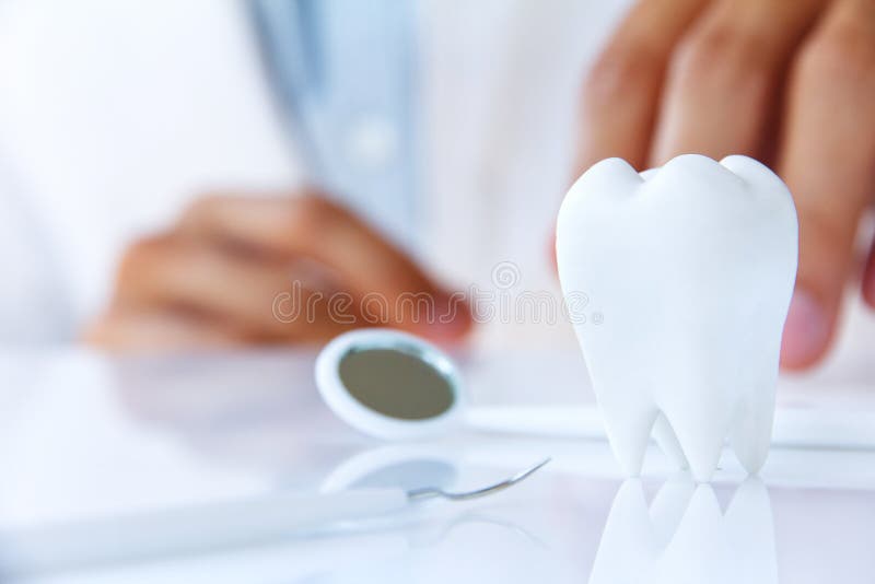 Molar,dental concept