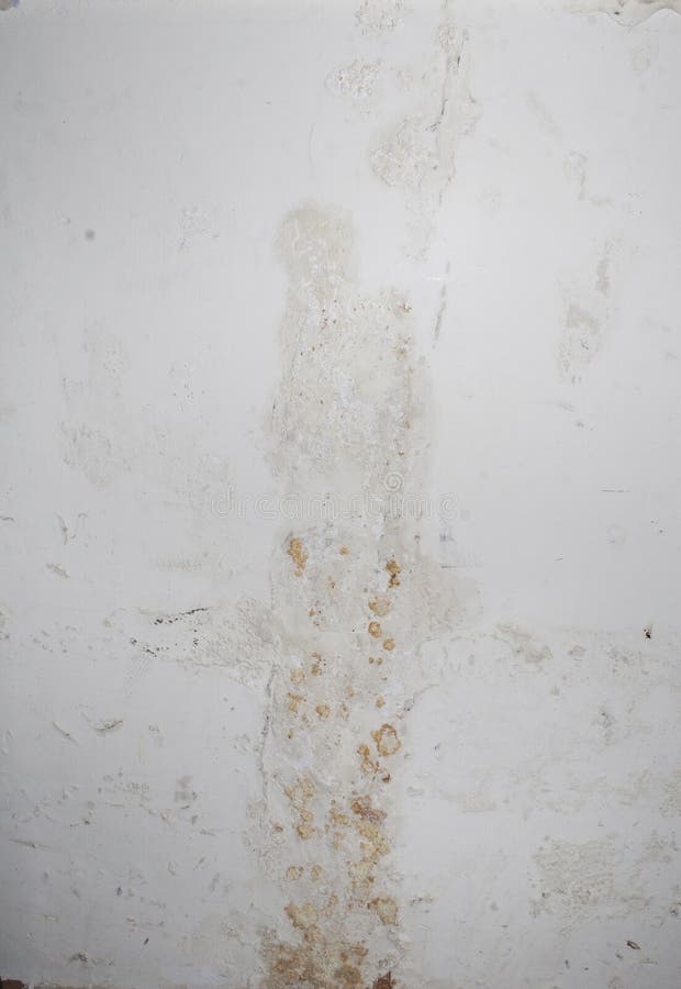 Old Brick Wall with Mold and Lichens Stock Photo Image of architect