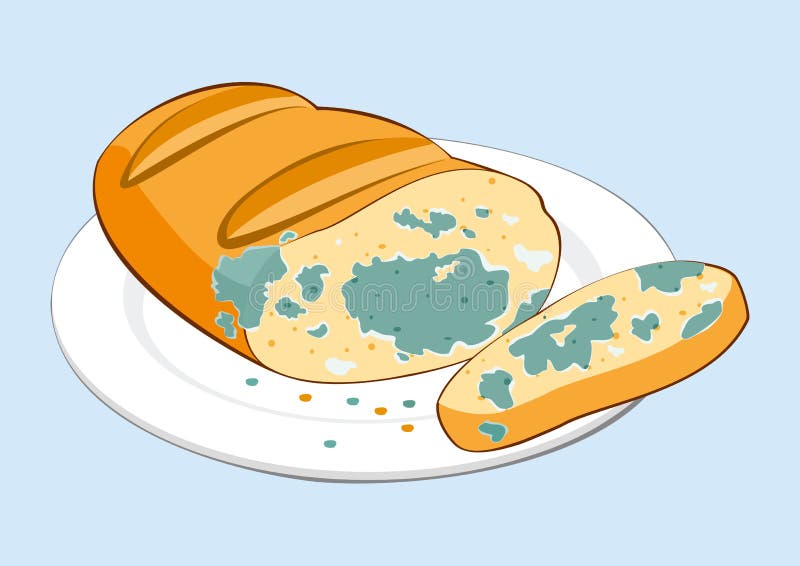 Sad Bread with Mold Emoji. Foul Food Vector Illustration Stock Vector