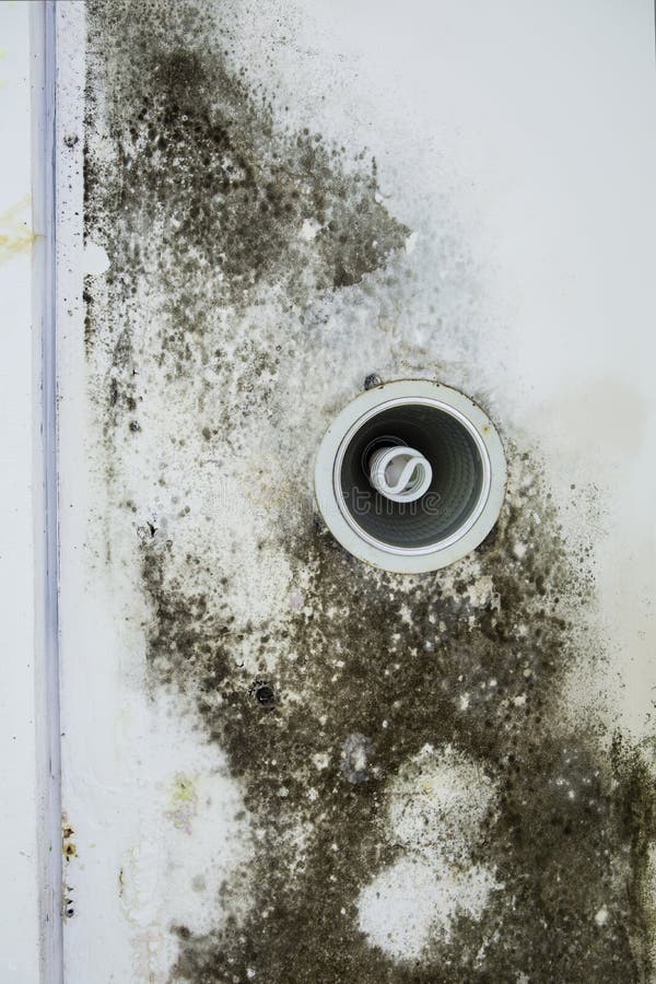 Mold in the ceiling stock photo. Image of close, leakage 97917556