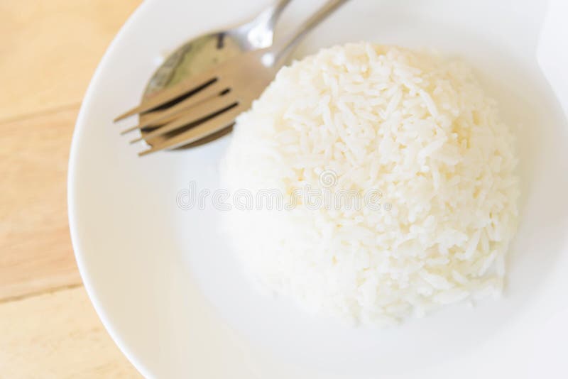 Mold in rice stock photo. Image of black, detail, sporangium 49074690