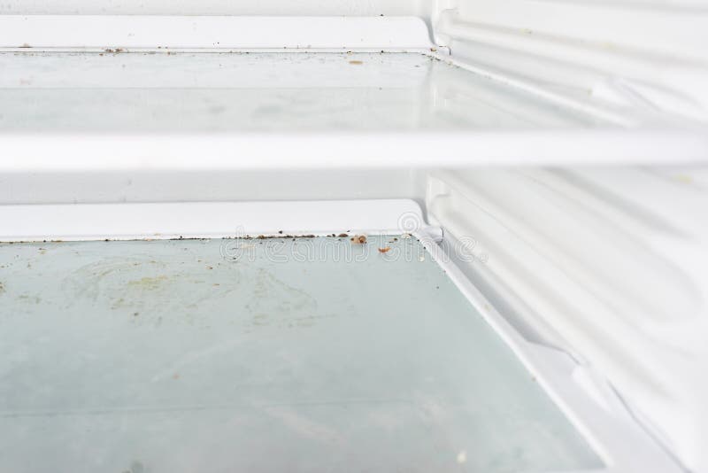 Mold fungus in the freezer stock image. Image of guava 169954947