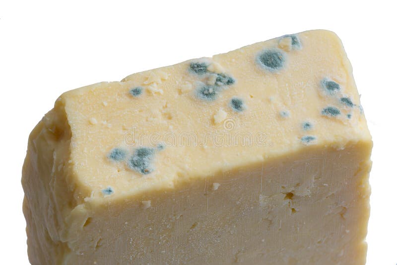 Mouldy cheese and grater stock photo. Image of food, steel 1192972