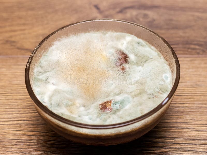 Mold on Jam in a Glass Plate. Moldy Food in the Plate Stock Image