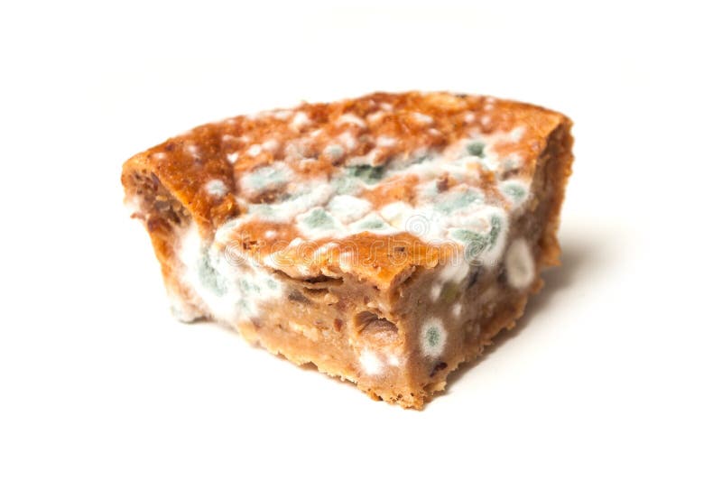 297 Rotten Cake Stock Photos Free & RoyaltyFree Stock Photos from