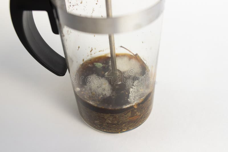 Mold in Tea Pot on White Background Stock Image Image of toxic, mildew 196885111