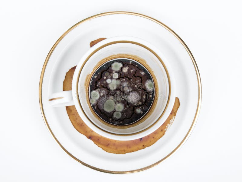Mold in the unwashed cup stock image. Image of close 45995831