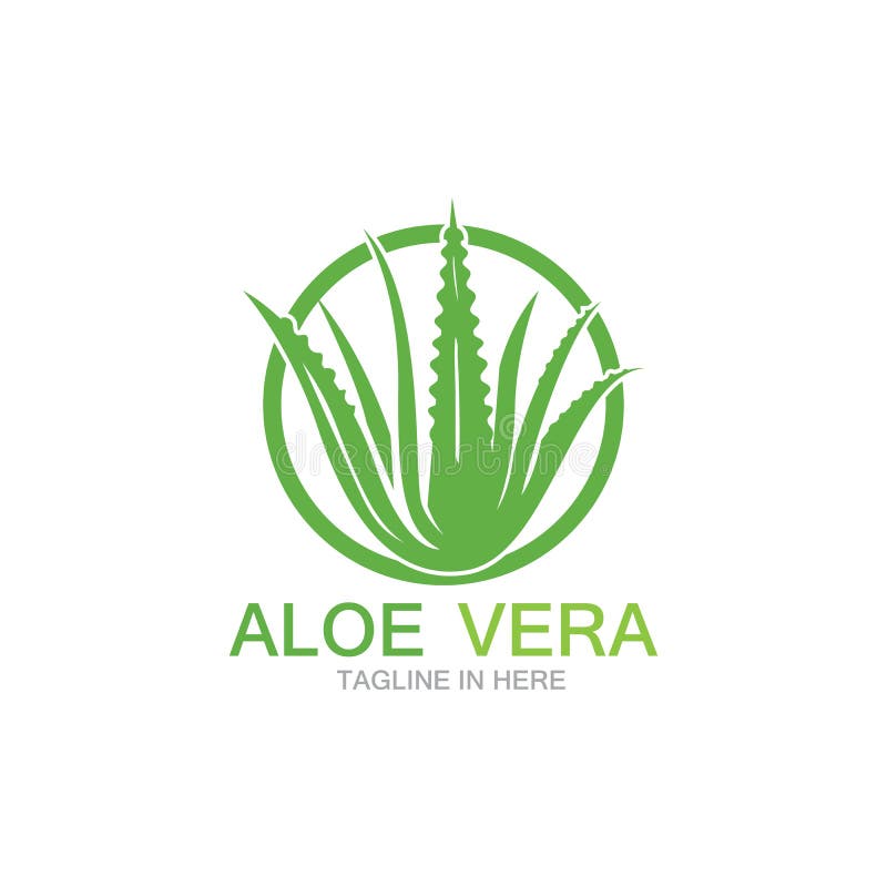 Aloe vera logotipo planta verde projeto de saúde ilustração vetorial  símbolo