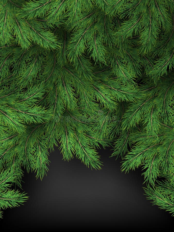 Molde do Natal e do ano novo de ramos realísticos da árvore de Natal no fundo preto Eps 10 ilustração stock Molde do Natal e do ano novo de ramos realísticos da árvore de Natal no fundo preto Eps 10 ilustração stock