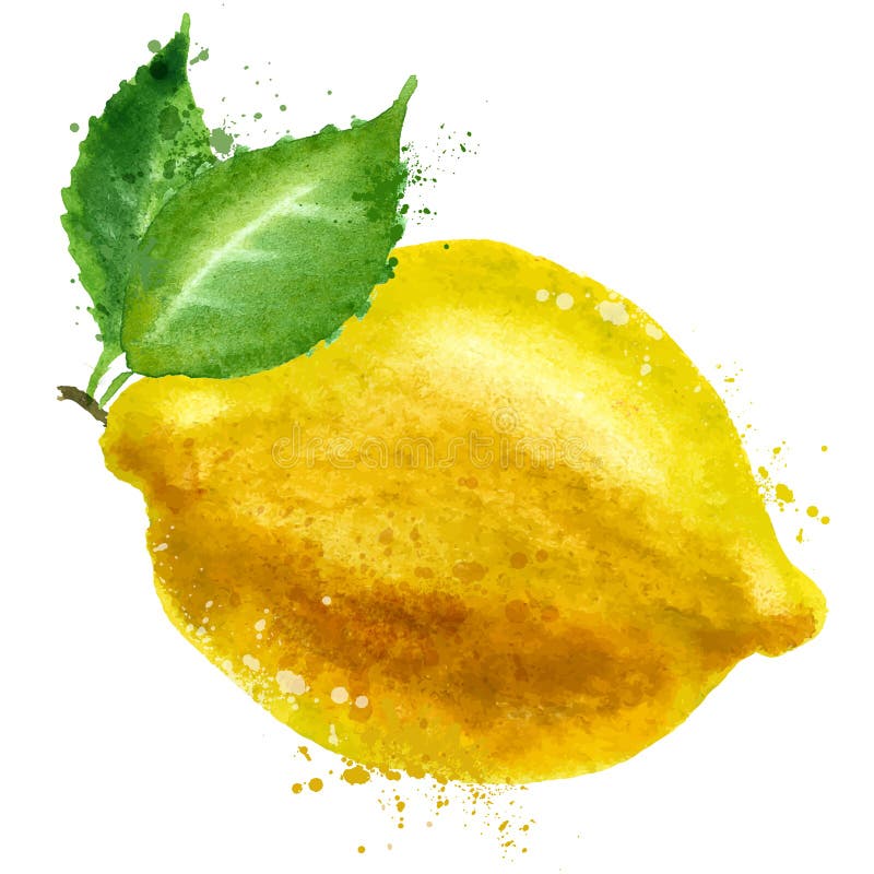 Molde do projeto do logotipo do vetor do limão alimento ou fruto ilustração do vetor Molde do projeto do logotipo do vetor do limão alimento ou fruto ilustração do vetor