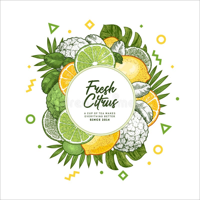 Molde fresco do projeto do citrino Ilustração gravada do estilo Projeto de empacotamento orgânico dos frutos Ilustração do vetor ilustração stock Molde fresco do projeto do citrino Ilustração gravada do estilo Projeto de empacotamento orgânico dos frutos Ilustração do vetor ilustração stock