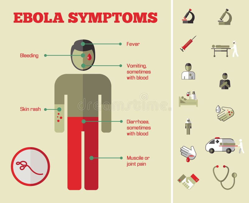 Modelo de Infográfico Médico ilustração do vetor
