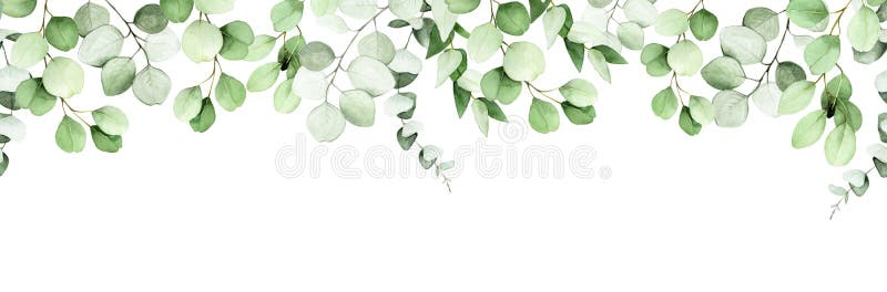 moldura de natal png com folhas verdes em um fundo transparente