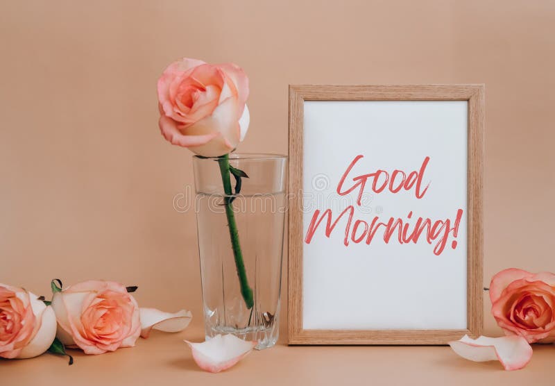 Moldura De Madeira Com Texto Bom Dia Em Rosas Brancas E Delicadas, Cor-de-rosa, Sobre Fundo Bege. Tendência Mínima Foto de Stock - Imagem de zombaria, sustentabilidade: 252552694 Moldura De Madeira Com Texto Bom Dia Em Rosas Brancas E Delicadas, Cor-de-rosa, Sobre Fundo Bege. Tendência Mínima Foto de Stock - Imagem de zombaria, sustentabilidade: 252552694