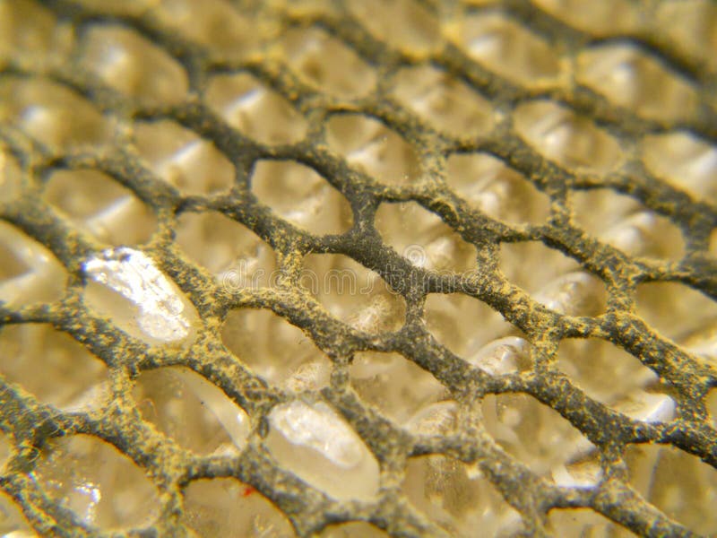 Moldy Carbon Net Filter from Close-up. Moldy Carbon net filter - macro view