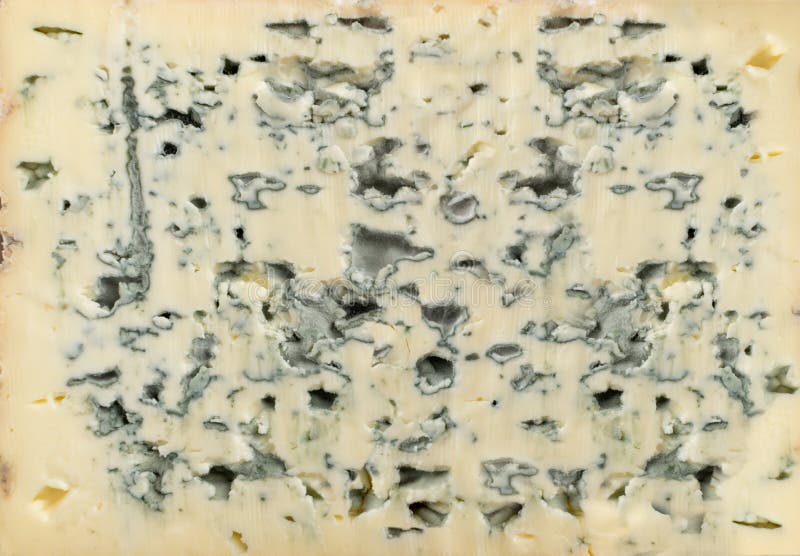 Blue Cheese Background Texture Stock Image Image of mouldy